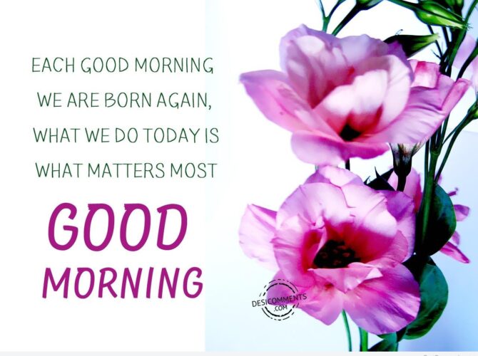 Introduction to Good Morning Wishes and Images