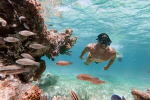 Discover the Depths: Snorkeling Wonders in Punta Cana Await You