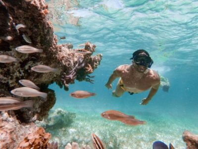 Discover the Depths: Snorkeling Wonders in Punta Cana Await You