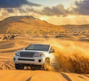 Best desert safari Dubai
