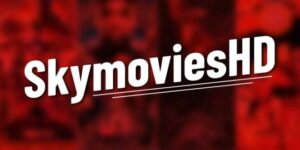 Features of Skymovies1